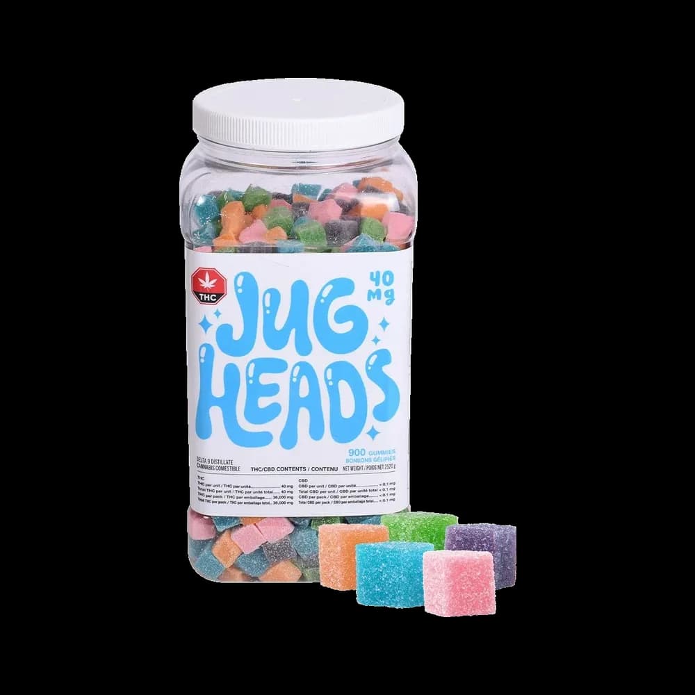Jugheads 40mg THC gummies jar, 900 gummies